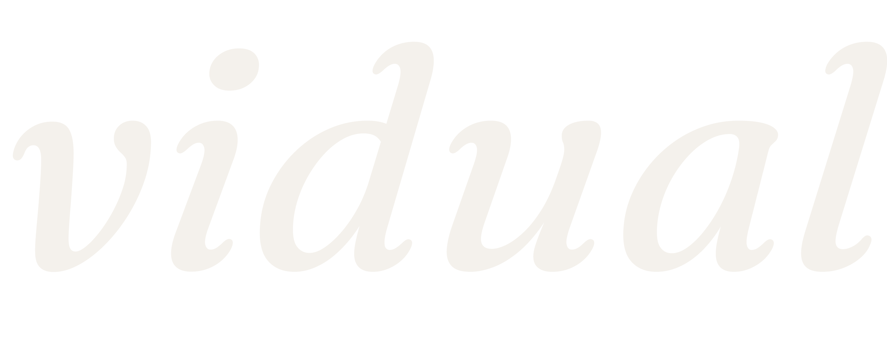 Vidual Spaces